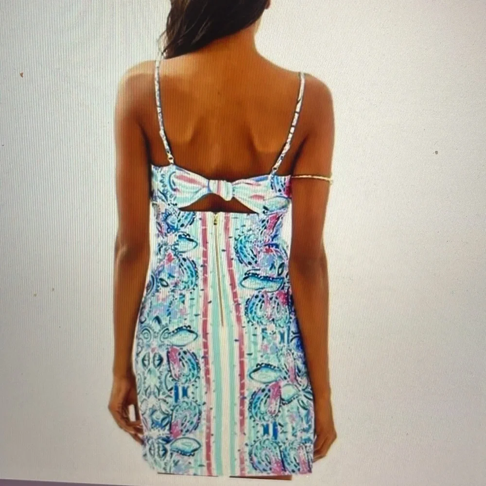 Lilly Pulitzer Shelli embroidered sundress sz 0 - Picture 2 of 8